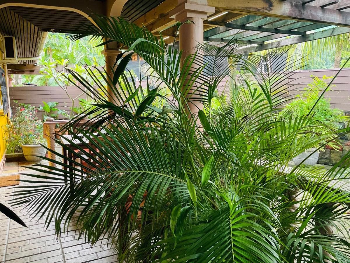 Appartement Effie Mountain View Gecko *