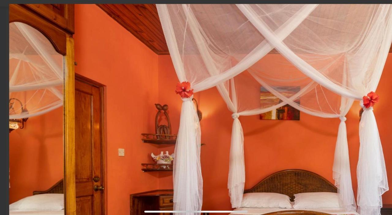 Effie Mountain View Gecko Appartement Misere